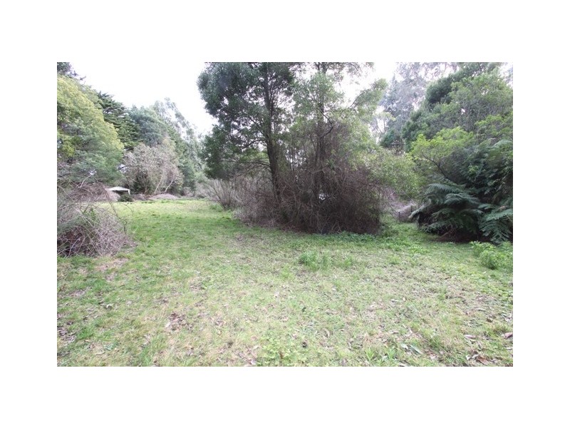 1661 Bulga Park Road, Balook VIC 3971