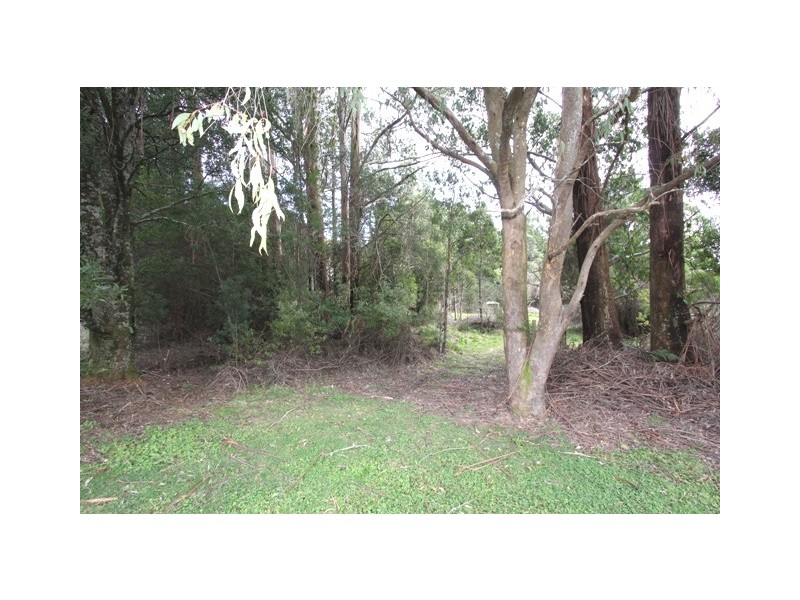 1661 Bulga Park Road, Balook VIC 3971