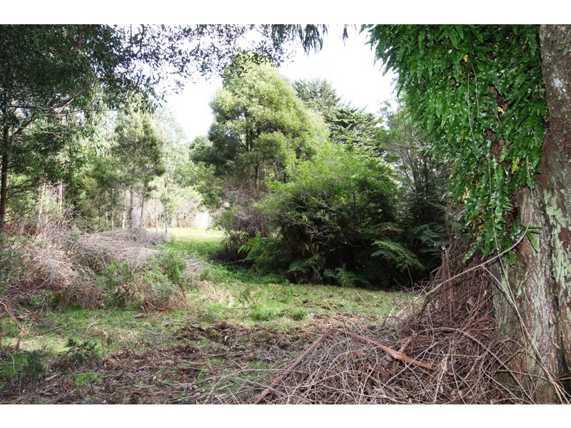 1661 Bulga Park Road, Balook VIC 3971