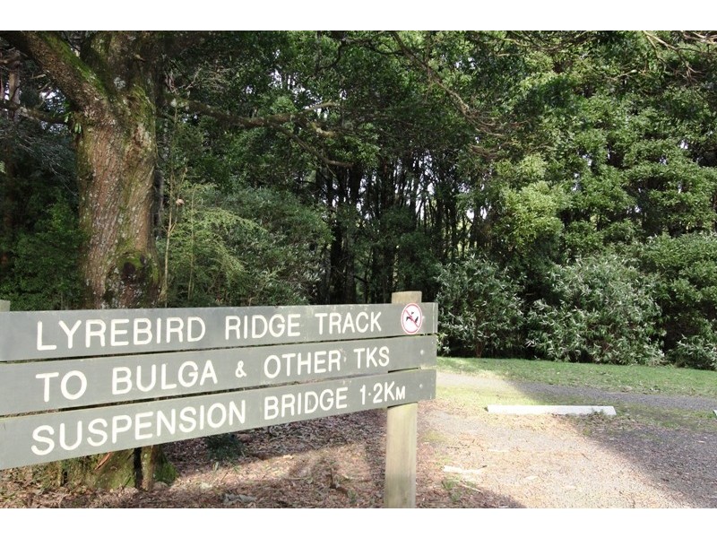 1661 Bulga Park Road, Balook VIC 3971