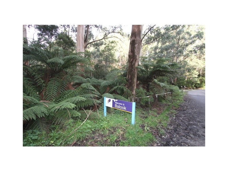 1661 Bulga Park Road, Balook VIC 3971