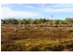 CA 53 Flamingo Drive, Golden Beach VIC 3851
