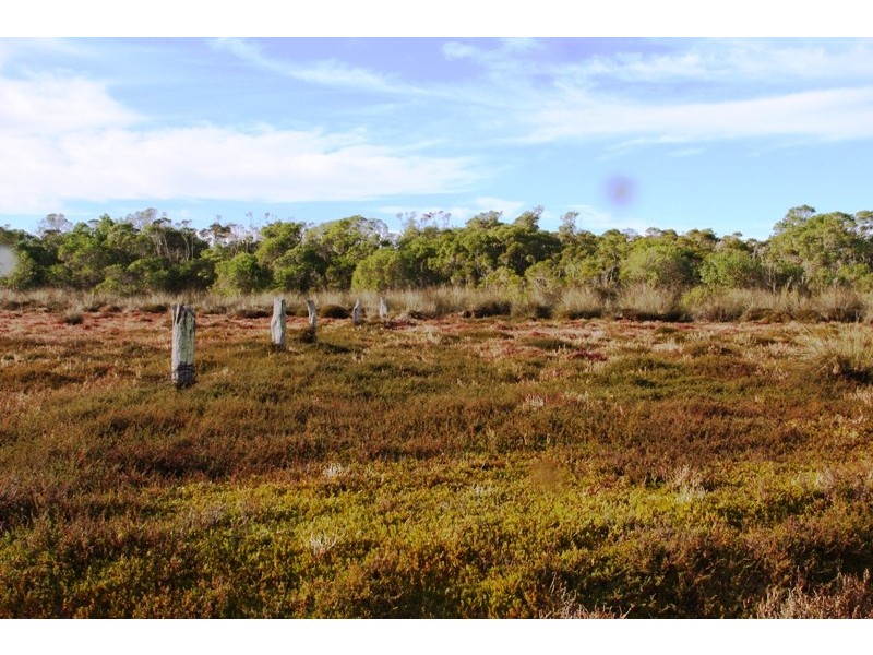 CA 53 Flamingo Drive, Golden Beach VIC 3851