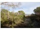 CA 53 Flamingo Drive, Golden Beach VIC 3851