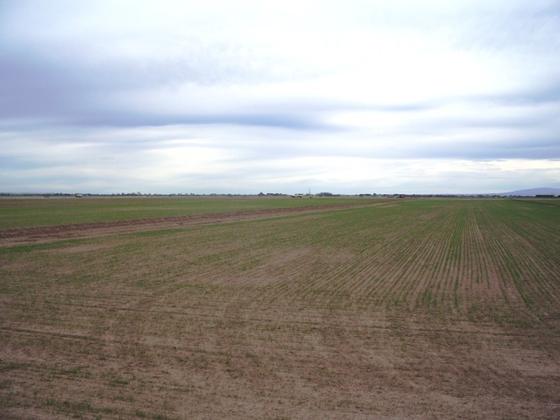 Lot 1 224 Hagans Road, Airly VIC 3851