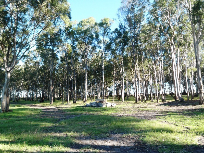 310 Maidens Road, Lindenow South VIC 3875