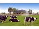 62 Maffra-Sale Road, Maffra VIC 3860