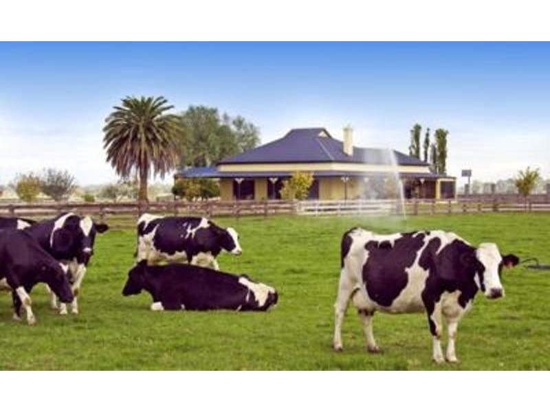 62 Maffra-Sale Road, Maffra VIC 3860