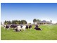 62 Maffra-Sale Road, Maffra VIC 3860