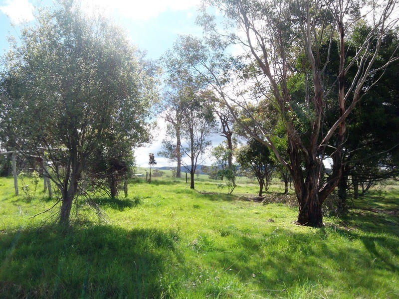 1137 Heyfield/Seaton Road, Seaton VIC 3858