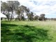 1137 Heyfield/Seaton Road, Seaton VIC 3858