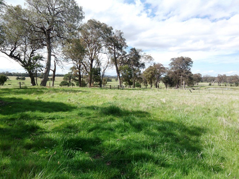 1137 Heyfield/Seaton Road, Seaton VIC 3858