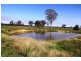 Lot 1 Freemans Lane, Stratford VIC 3862