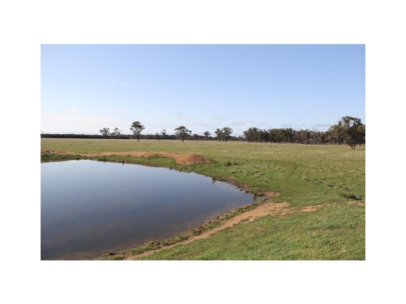 . Giffard Road, Darriman VIC 3851