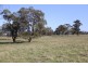 . Giffard Road, Darriman VIC 3851