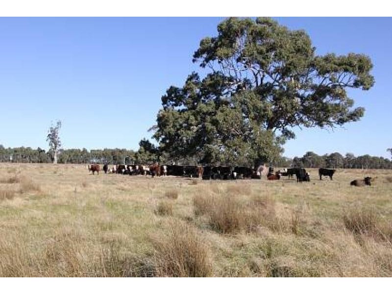 - Bengworden Road, Stratford VIC 3862