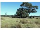 - Bengworden Road, Stratford VIC 3862