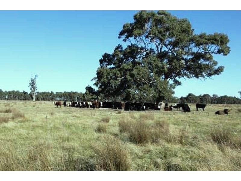 - Bengworden Road, Stratford VIC 3862