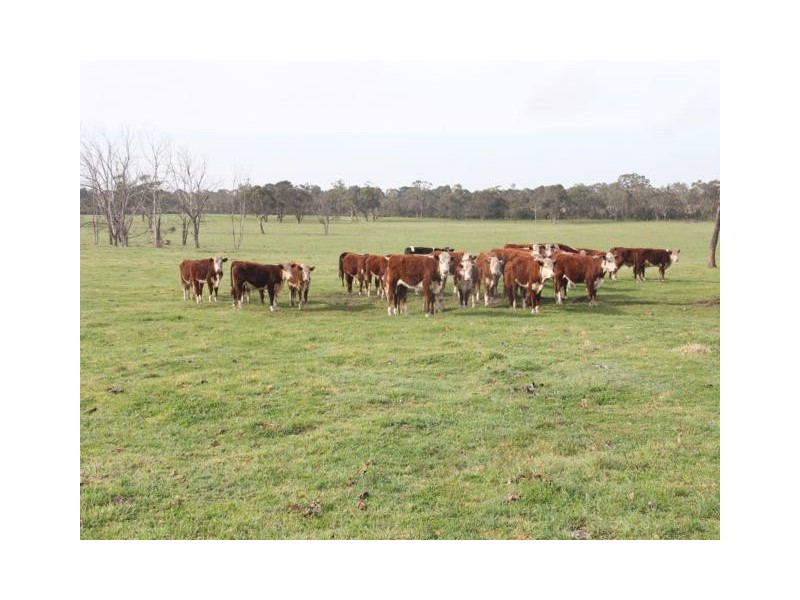 67 Carrs Creek Road, Longford VIC 3851