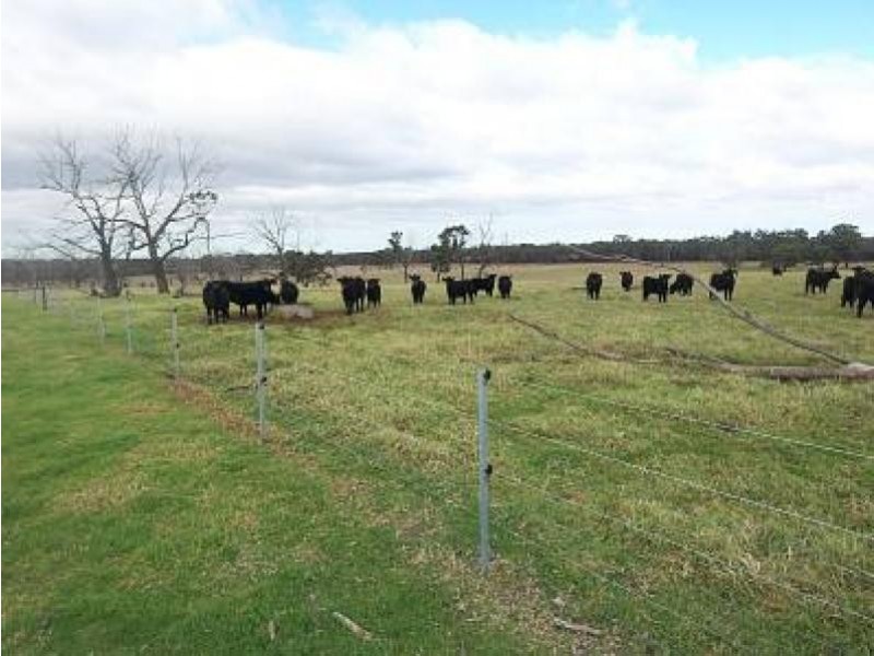 67 Carrs Creek Road, Longford VIC 3851