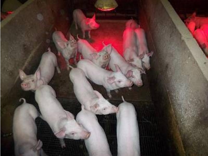 67 Carrs Creek Road, Longford VIC 3851