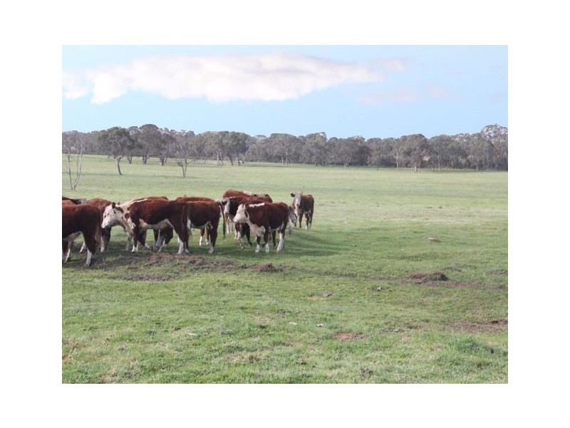 67 Carrs Creek Road, Longford VIC 3851