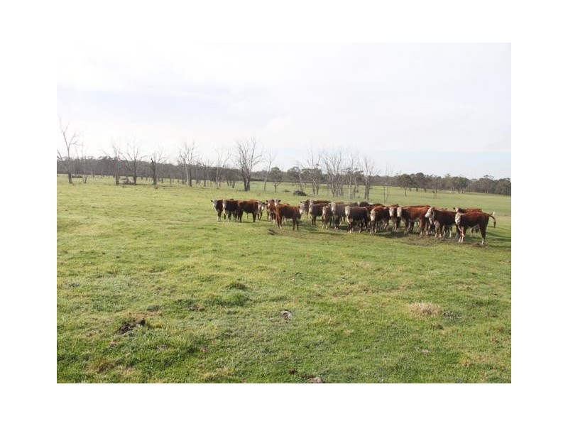 67 Carrs Creek Road, Longford VIC 3851