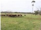 67 Carrs Creek Road, Longford VIC 3851