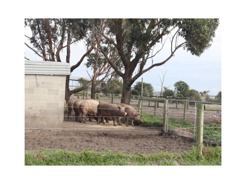 67 Carrs Creek Road, Longford VIC 3851