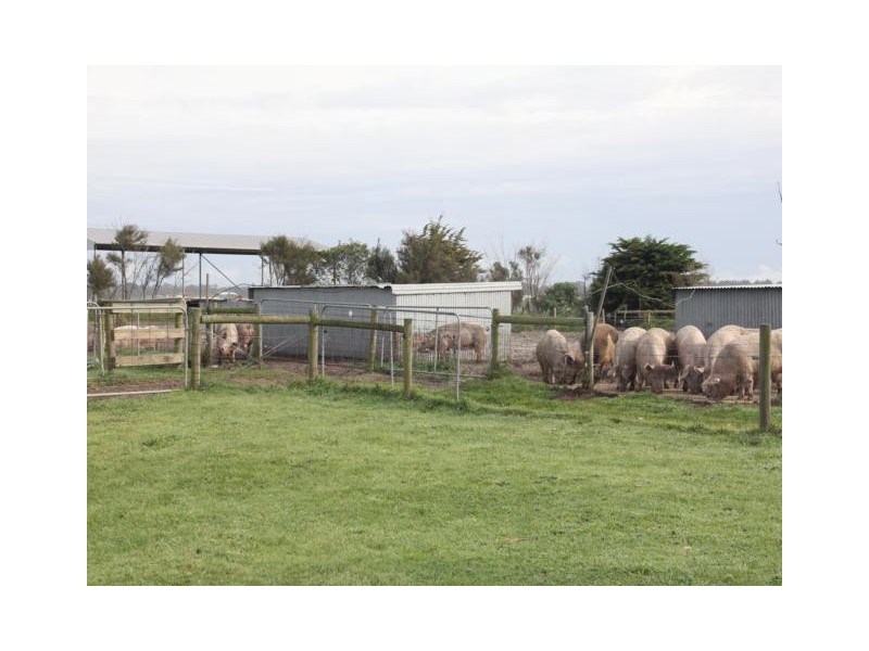 67 Carrs Creek Road, Longford VIC 3851