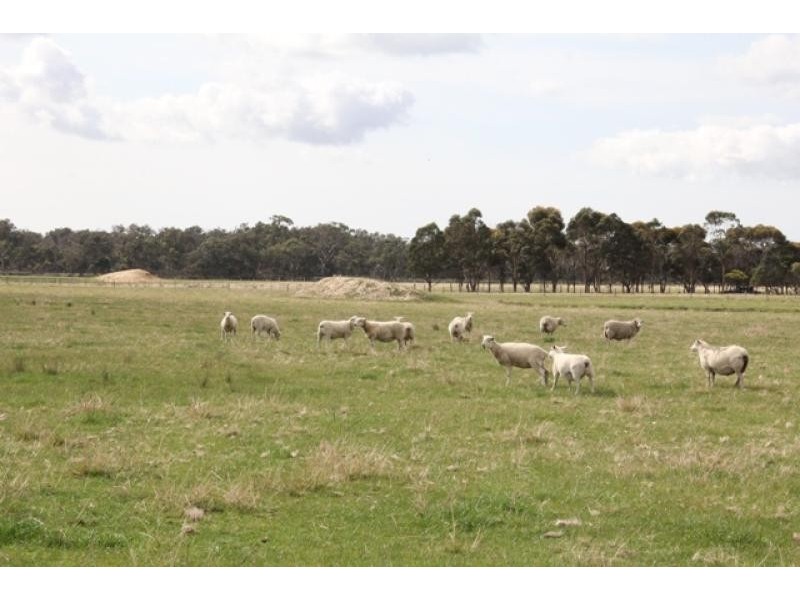 160 Boards Road, Seaspray VIC 3851