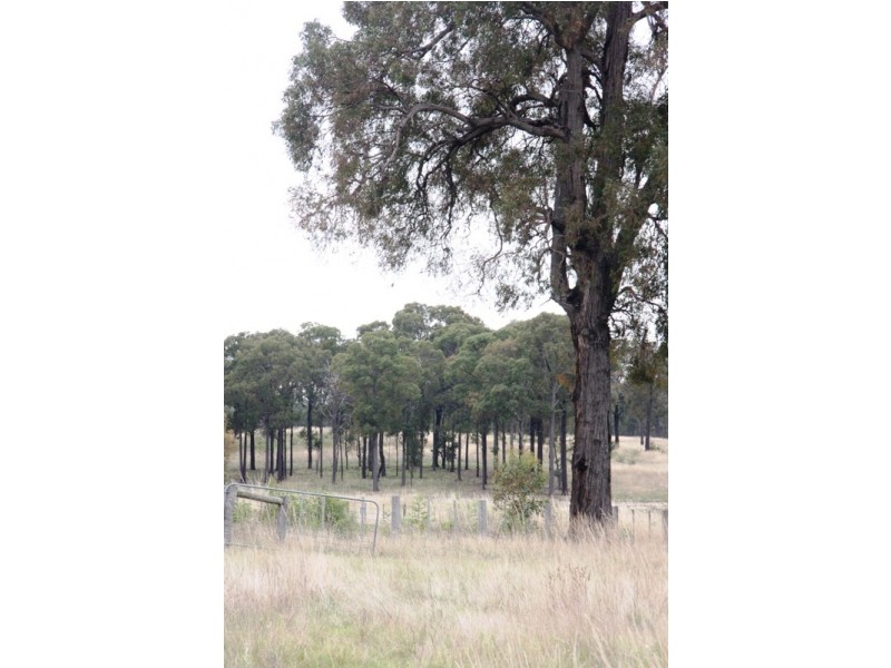 - Heyfield-Seaton Road, Heyfield VIC 3858