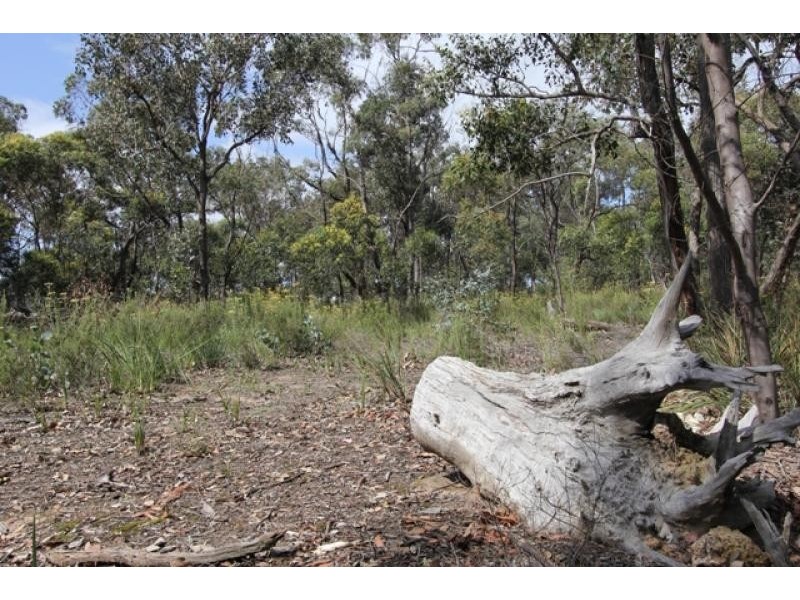 - . Licola Road, Heyfield VIC 3858