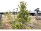 40 Muston’s Lane, Heyfield VIC 3858