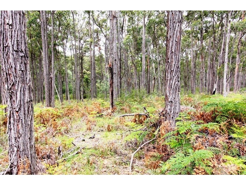 575 Beverleys Road, Cobbannah VIC 3862