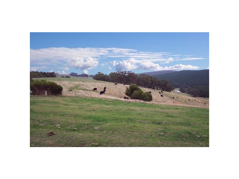 777 Bolgers Road, Devon North VIC 3971