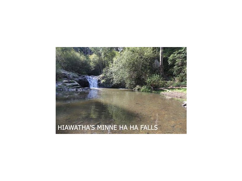 1321 Albert River Road, Hiawatha VIC 3971