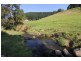 1321 Albert River Road, Hiawatha VIC 3971