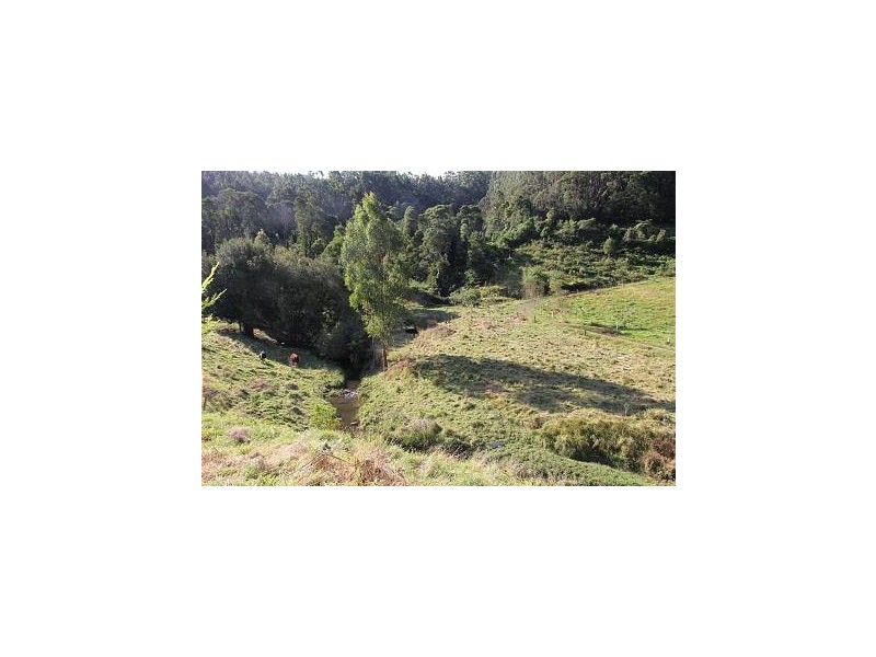 1321 Albert River Road, Hiawatha VIC 3971