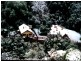 … Main Road, Walhalla VIC 3825