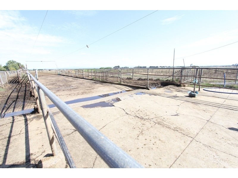 535 Nambrok Road, Nambrok VIC 3847