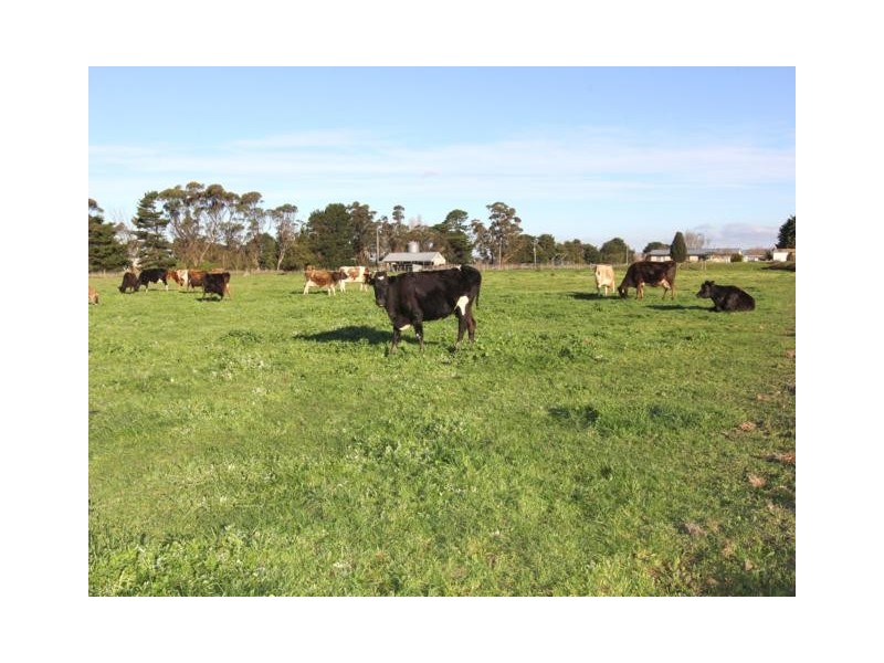 535 Nambrok Road, Nambrok VIC 3847