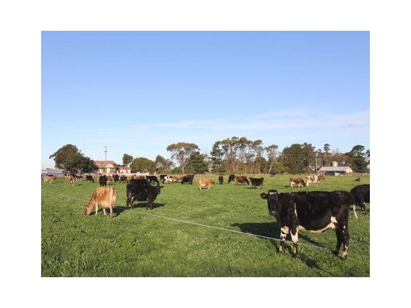 535 Nambrok Road, Nambrok VIC 3847