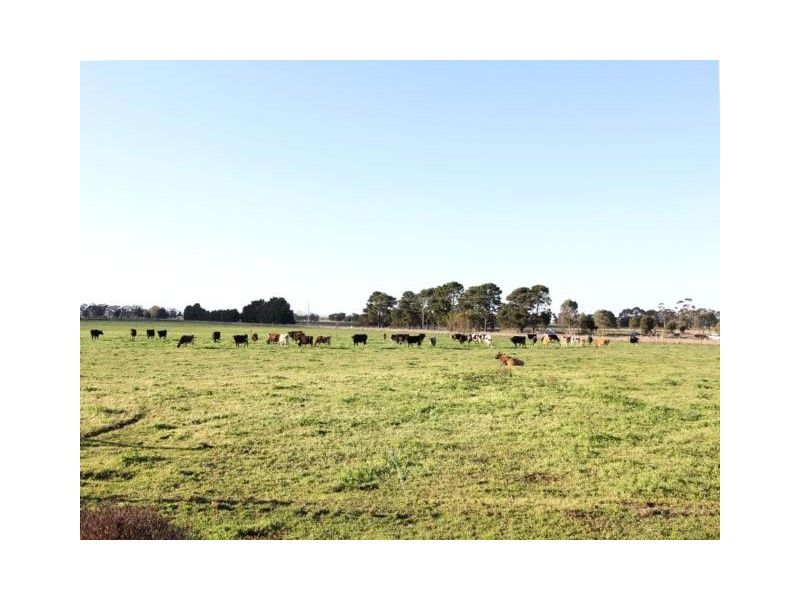 535 Nambrok Road, Nambrok VIC 3847