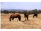LOT 5 SELLINGS ROAD, Maffra VIC 3860