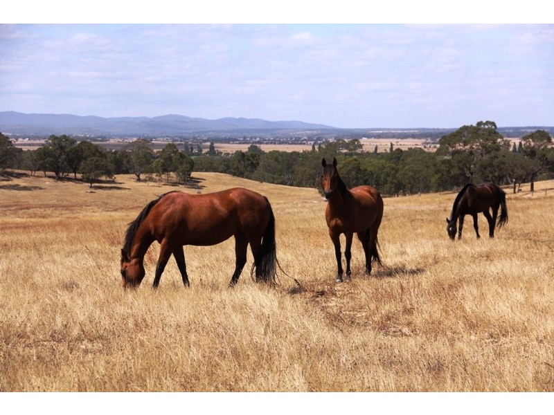 LOT 5 SELLINGS ROAD, Maffra VIC 3860