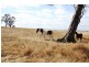 LOT 5 SELLINGS ROAD, Maffra VIC 3860