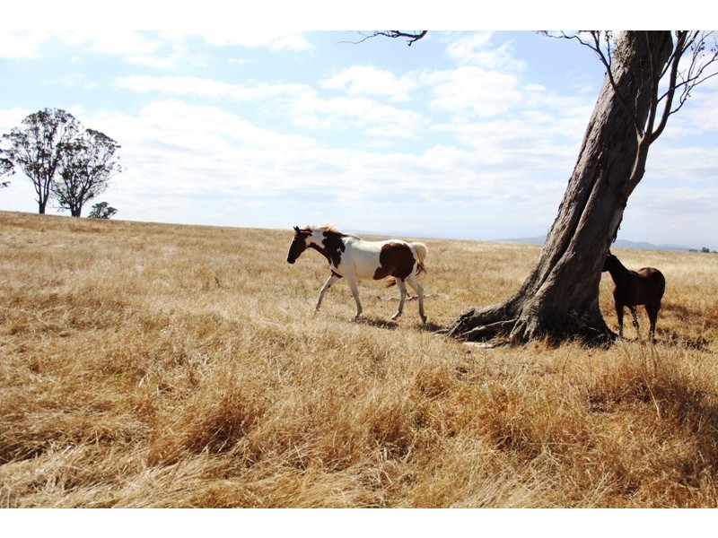 LOT 5 SELLINGS ROAD, Maffra VIC 3860