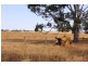 LOT 5 SELLINGS ROAD, Maffra VIC 3860