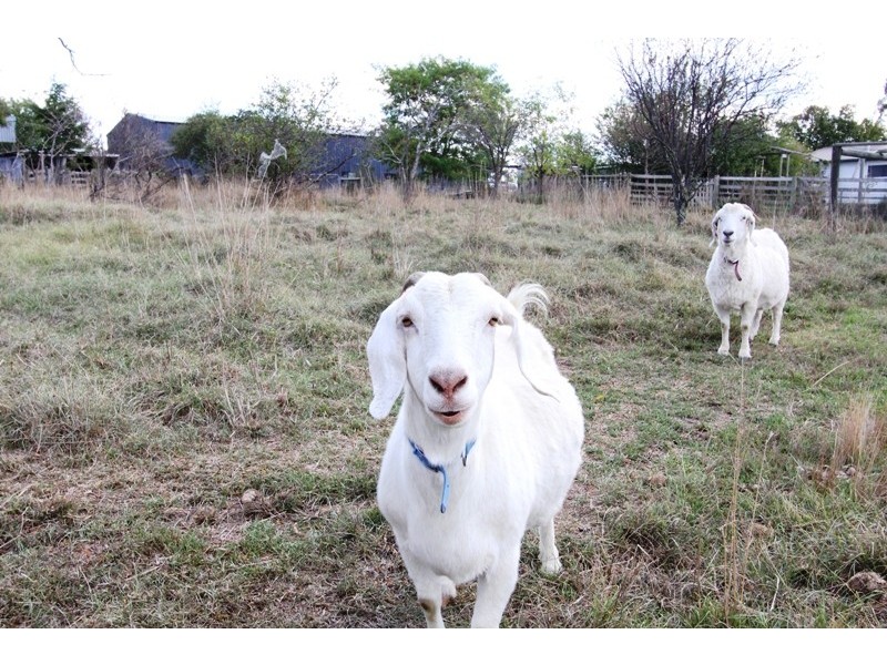 15 McDonald Road, Valencia Creek VIC 3860